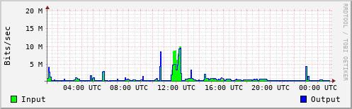 Network Activity