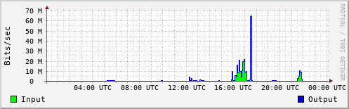 Network Activity