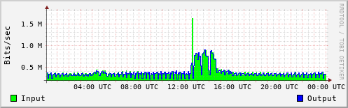 Network Activity