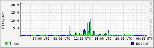 Network Activity