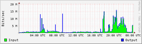 Network Activity
