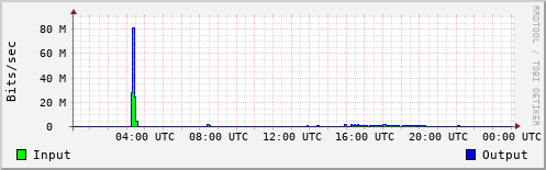 Network Activity