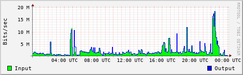 Network Activity