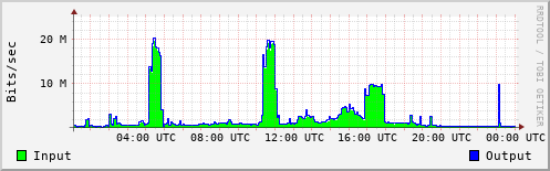 Network Activity