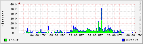Network Activity