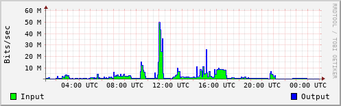 Network Activity