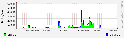 Network Activity