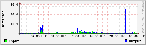 Network Activity