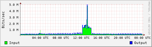 Network Activity
