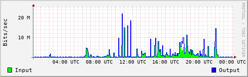 Network Activity