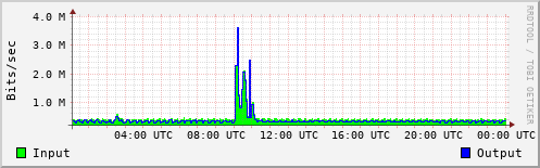 Network Activity