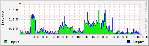 Network Activity