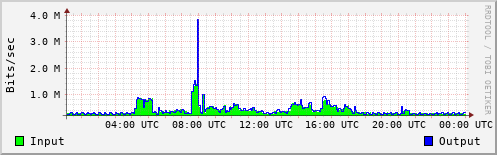 Network Activity