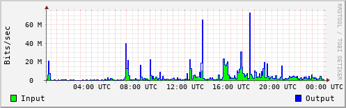 Network Activity