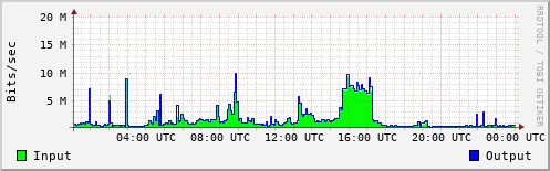 Network Activity