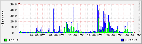 Network Activity