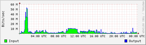 Network Activity