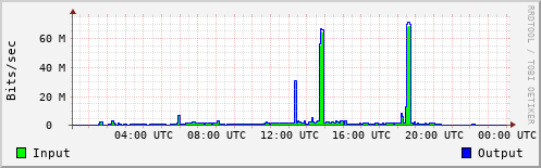 Network Activity