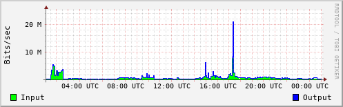 Network Activity