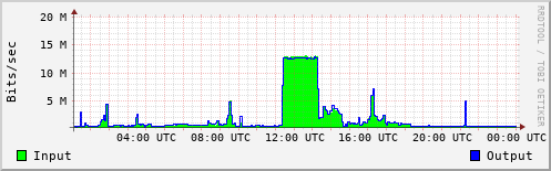 Network Activity