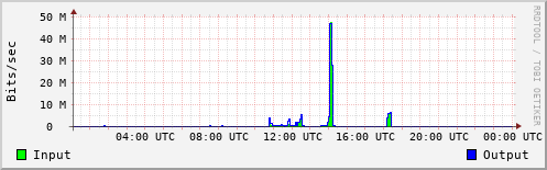 Network Activity