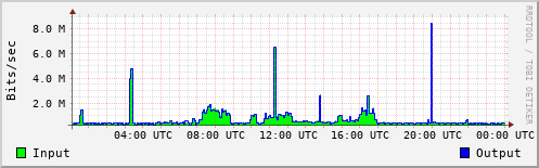 Network Activity