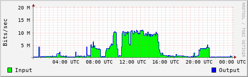 Network Activity