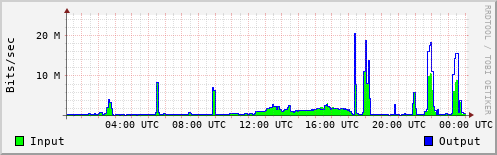 Network Activity