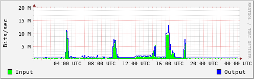 Network Activity