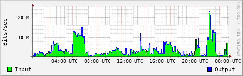 Network Activity