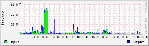 Network Activity