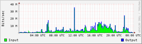 Network Activity