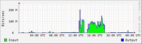 Network Activity