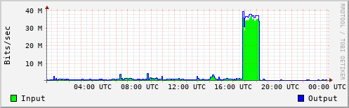 Network Activity