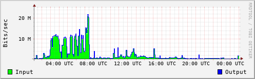 Network Activity